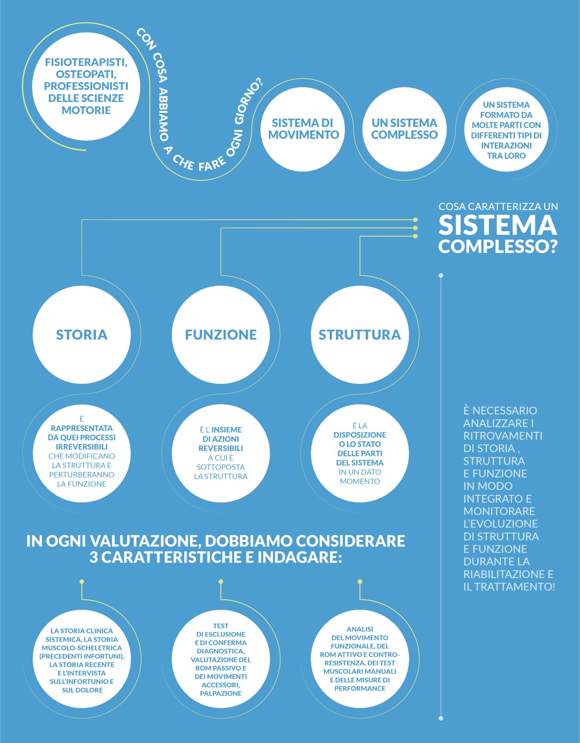 Il Sistema di Movimento un Sistema Complesso FisioterapistaFacile.it